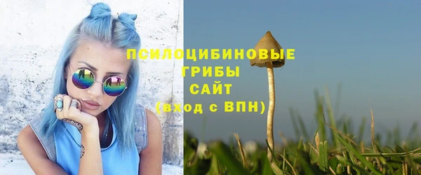 ешки Зеленодольск