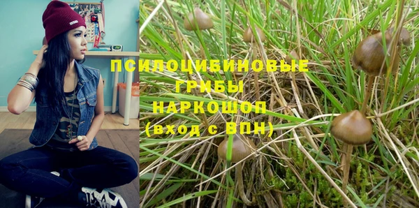 гидра Зерноград