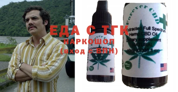гашик Щигры