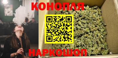мдпв Обь