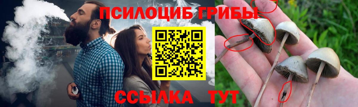 Галлюциногенные грибы Magic Shrooms  Вход с VPN  Соликамск 